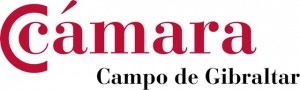LOGO CAMARA CG