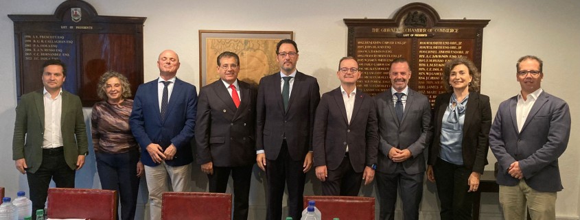 WhatsApp Image 2025-10-30 at 09.57.46