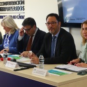 ceccadiz_frentecomunenergia_001