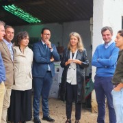 Captura de pantalla 2026-04-29 121332