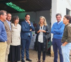 Captura de pantalla 2026-04-29 121332