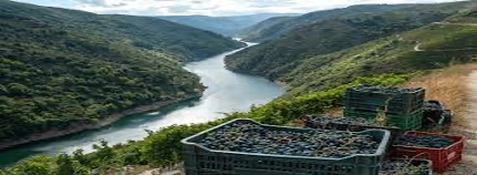 banner ribeira sacra